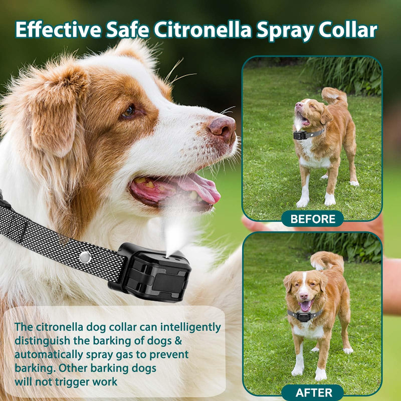 Citronella Bark Collar for Dogs, [No Spray Refill] Spray Dog Training Collar, Humane Citronella Dog Barking Collars, Safer Anti Barking Collar for L/M/S Dogs Black-21B - PawsPlanet Australia