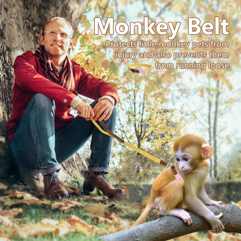 Mini Monkey Leash, Adjustable Monkey Strap with Belly Bands and Matching Leash for Marmoset Monkey, Maximum Dimension 5.7 Inches for Monkey, Comfortable and Durable - PawsPlanet Australia