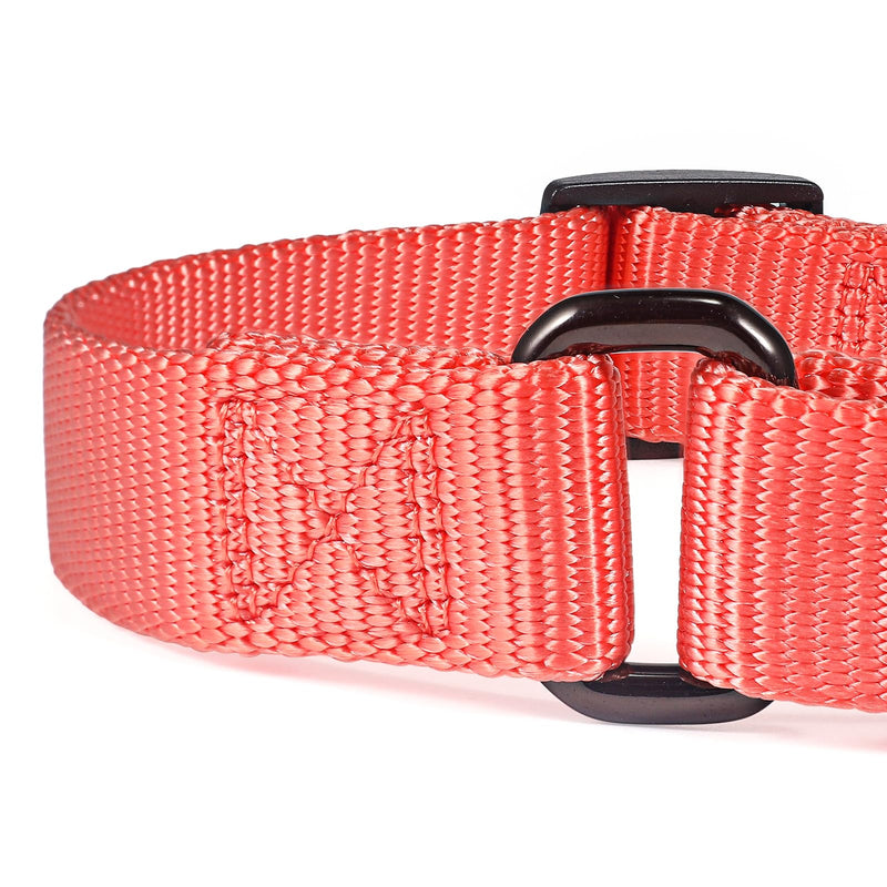 Premium Nylon Adjustable Anti-Escape Martingale Dog Collars,Durable,Comfort and Silky Dog Collar with Hardware D-Ring for Large Dogs Walking,Training,etc...(Living Coral, Large) Living Coral - PawsPlanet Australia