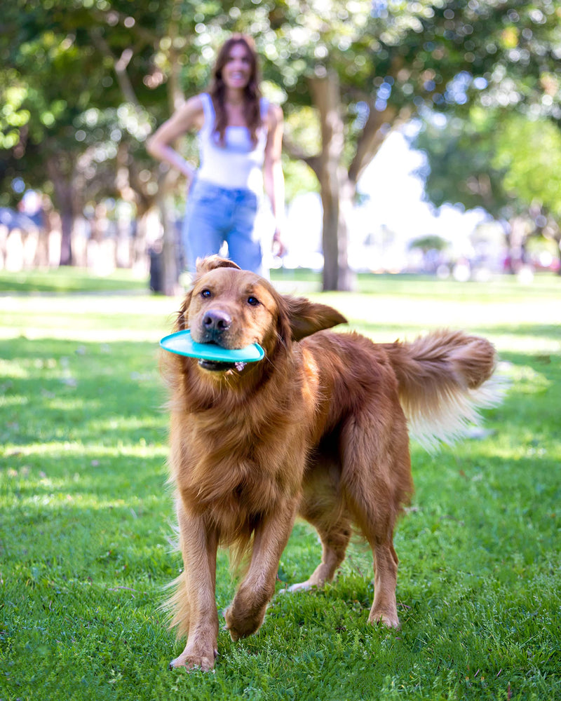 YOMP FetchFlyer Dog Flying Disc Toy - Interactive Outdoor Fetch Toy Designed for Safe Pet Play, Made from Textured & Non-Toxic Silicone - PawsPlanet Australia