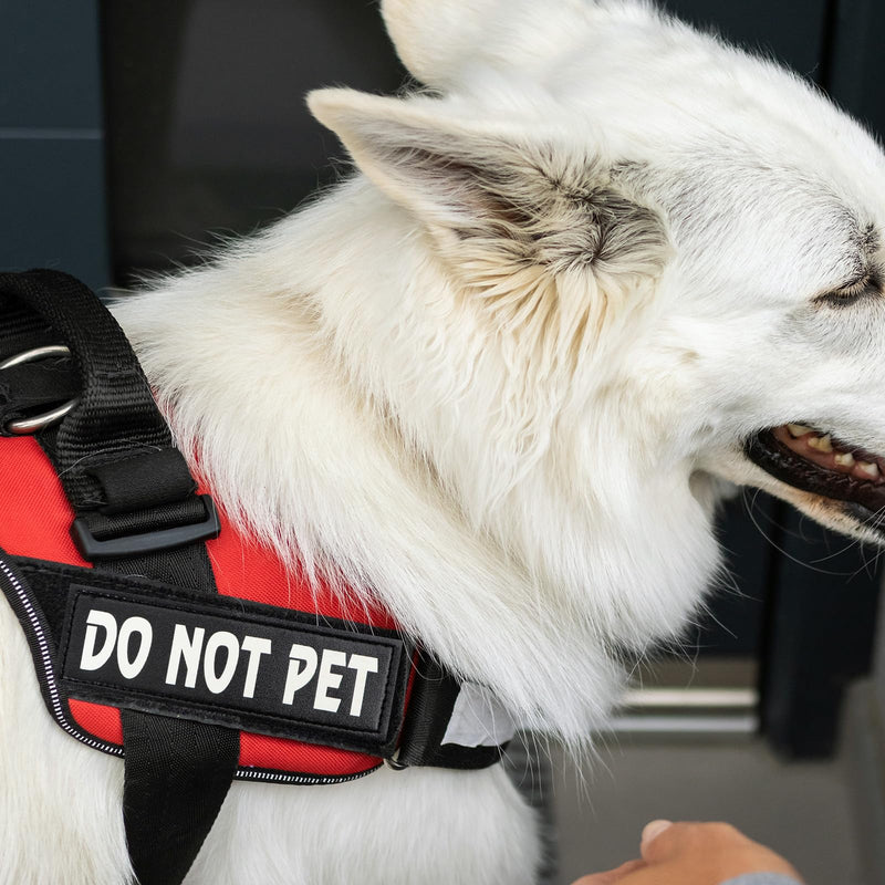 4 Pack Reflective Service Dog Patch with Hook Backing, Tactical Dog in Training Harness Reflective and Removable Tags, Do Not Pet and in Training Dog Patches (6.2 X 2 Inch) Large - 2”x 6.2” IN TRAINING*2 + DO NOT PET*2 - PawsPlanet Australia