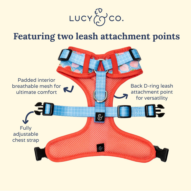 Lucy & Co. The Fresh Berries No-Pull Dog Harness - Size Small- Vest to Stop Pulling & Walk Easy - Comfortable Leash Training Product w/Adjustable Chest & Neck Straps The Fresh Berries No-Pull Harness - PawsPlanet Australia