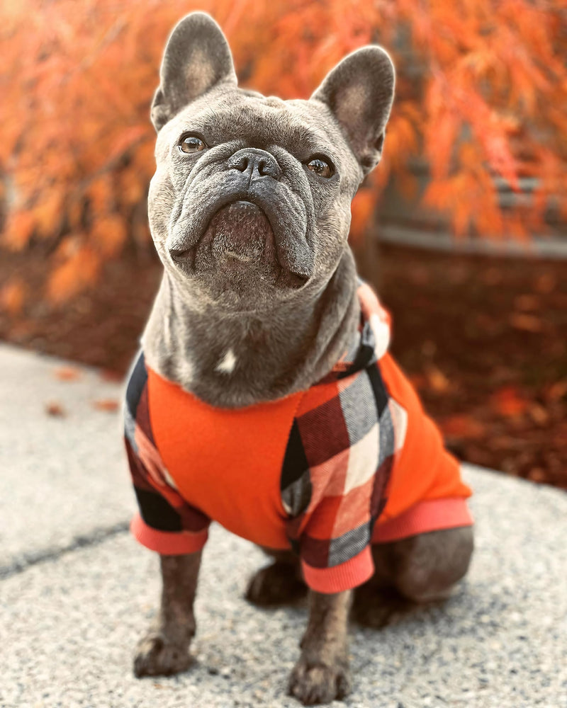 Fitwarm Dog Plaid Shirts Doggie Clothes Puppy Hoodies Cat Hooded T Shirts Pet Outfits Cotton Orange Large