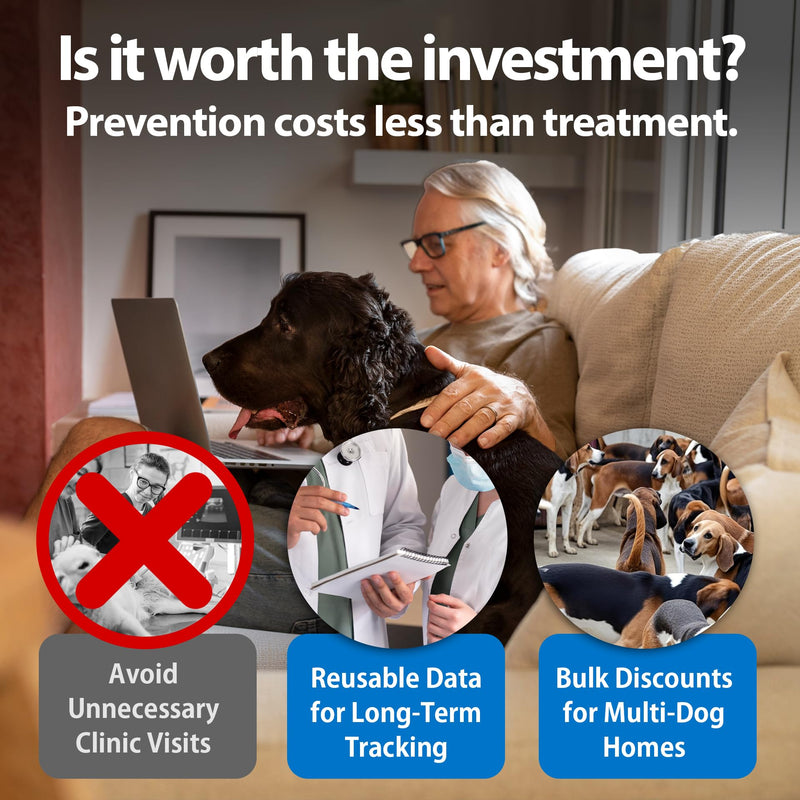 4-in-1 Dog Health Management Card 4-in-1 Canine Health Signal Analyze Common Canine Illnesses Quick and Easy at-Home Testing - PawsPlanet Australia
