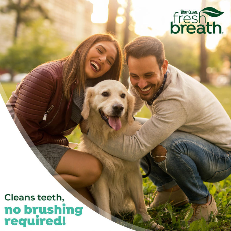 TropiClean Fresh Breath No Brushing Clean Teeth Dental & Oral Care Gel for Dogs, 4oz - 3 Pack Original ﻿4 Fl Oz (Pack of 3) - PawsPlanet Australia