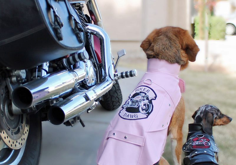 DOGGIE DESIGN Biker Dawg Motorcycle Dog Jacket (X-Small, Pink)
