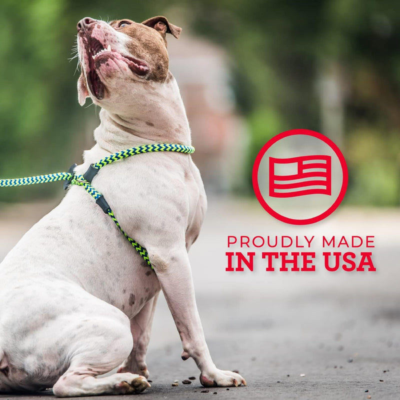 Harness Lead No Pull Dog Harness and Leash Set, No Pull Dog Harness for All Breeds and Sizes, One-Piece Padded Rope Design Prevents Escape and Pulling Medium/Large (40-170 lbs) Reef (Purple/Raspberry/Turquoise)