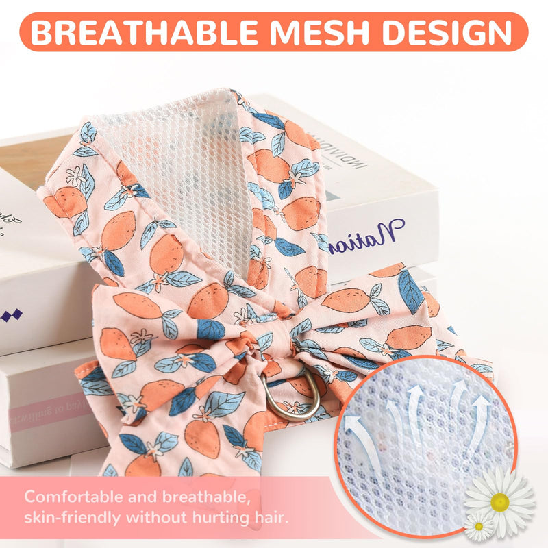 BAEJMJK Dog Harness and Leash Set with Bow Knot No Pull Pet Floral Harness with D-Ring Soft Mesh Dog Harness Vest Set Escape Proof Princess Puppy Harness for Small Girl Dogs Cats（Orange M） Medium Orange - PawsPlanet Australia