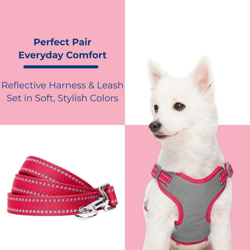 Blueberry Pet Matching Reflective Harness and Leash Set | Adjustable Pastel Vest with Lead for Dogs – Great Value Gift Set | Adjustable Very Berry Vest for Small Breeds - PawsPlanet Australia