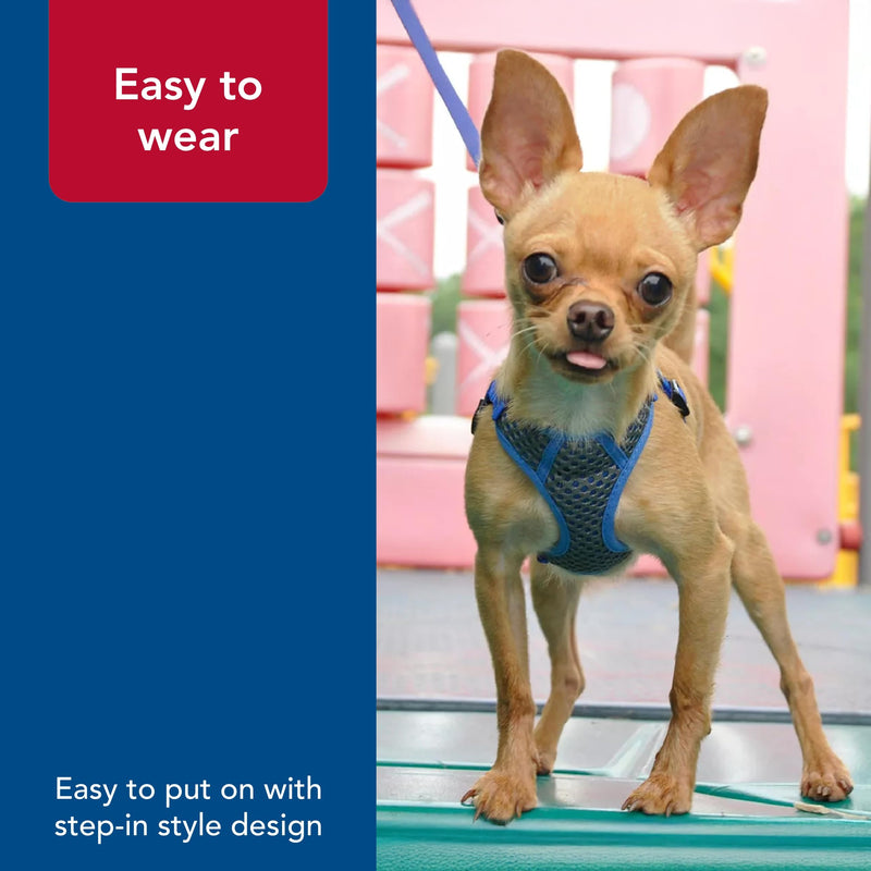 Coastal Pet Comfort Soft Sport Wrap Adjustable Dog Harness - Large & Small Dog Harness - Durable Harness for Dogs with Mesh Chest Pad - Grey with Blue, 5/8" x 16-19" XS (16-19" girth) Gray with bright accents - PawsPlanet Australia