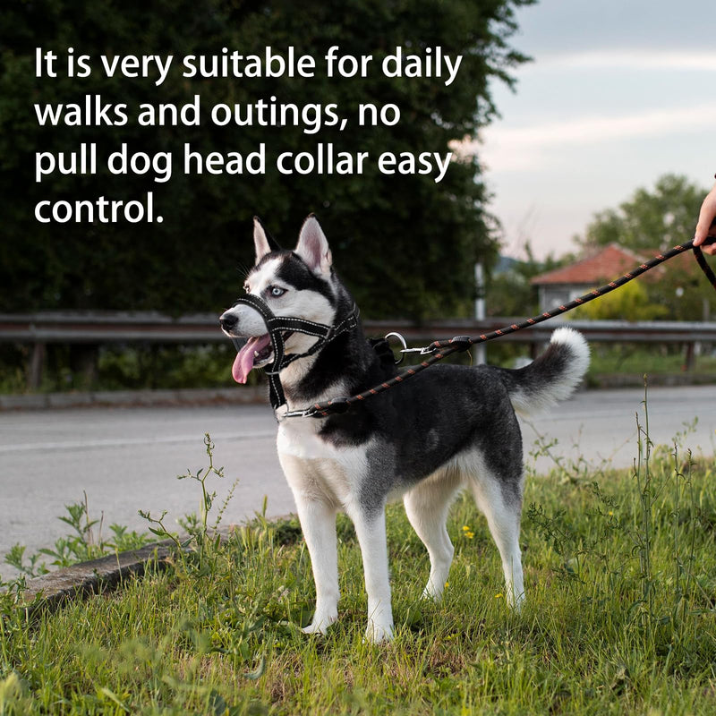Dog Head Collar, Head Collar with Reflective Strap to Stop Pulling for Small Medium and Large Dogs, Adjustable (L, Orange) L - PawsPlanet Australia