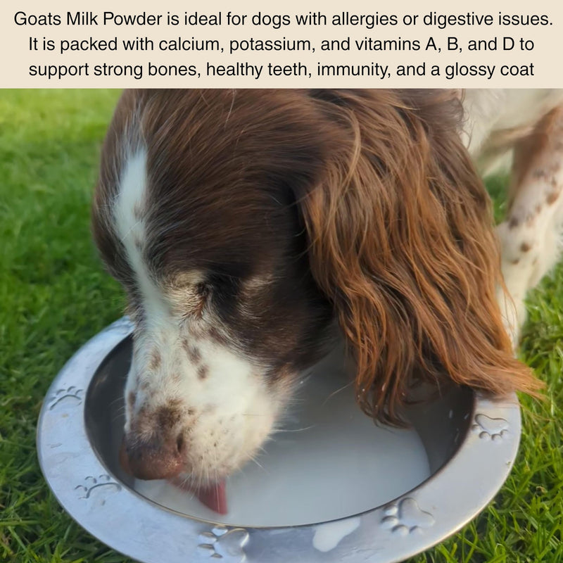 100% Natural Whole Goats Milk Powder for Dogs by Britten and James. Nutrient-Rich Boost, Improves Dogs' Hydration, Appetite, Gut Health & Immunity. High Calcium & Vitamins. For All Ages (250g) 250g
