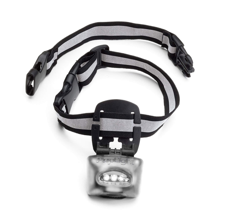 PupLight2 Twice as Bright with Reflective Dog Safety Collar, Black - PawsPlanet Australia