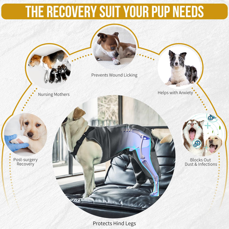 OneTigris Dog Body Suit After Surgery, Dog Body After Neutering Male with Adjustable Straps, Soft Lick Protection Dogs for Male or Female, Body for Small/Medium/Large Dog(Gray, L) Large