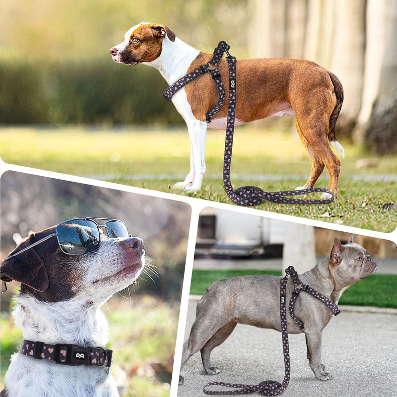 QQPETS Dog Harness Collar Leash - No Pull Pet Adjustable Back Clip Halter Basic Collar Heavy Duty 5FT Anti-Twist Leash for Extra Small Puppy Medium Large Breed Training Easy Walk(XS,Black Heart) Black Heart XS - PawsPlanet Australia