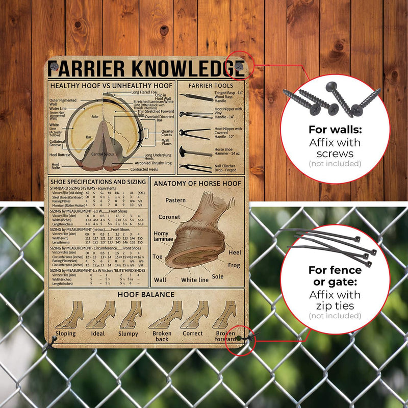 Farrier Knowledge Horse Hoof Anatomy Tin Sign - Educational Retro Metal Poster for Horse Lovers, Cowboy, Home, School, Farm, and Club Wall Decor, 12x16 Inches - PawsPlanet Australia