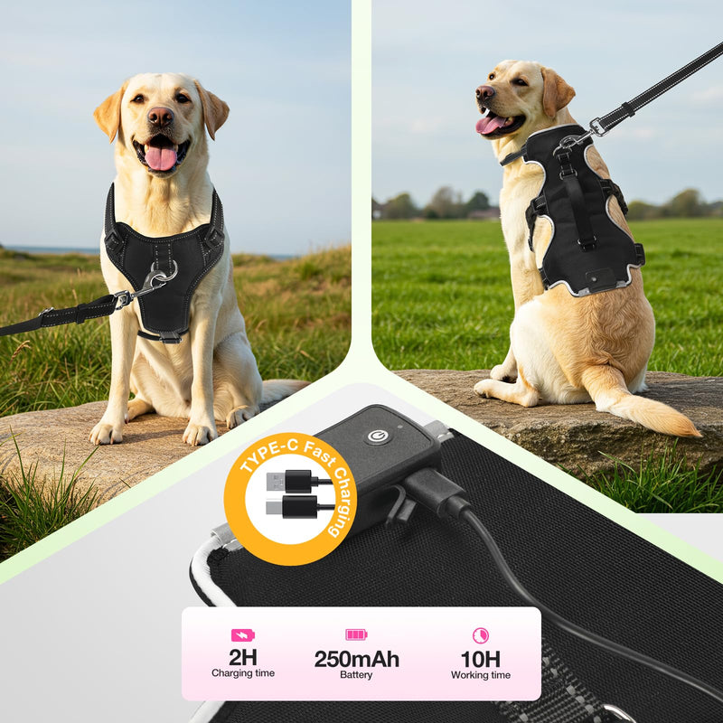 Light Up Dog Harness LED Dog Vest - USB-C Rechargeable RGB 9-LED, Slow/Fast Rainbow Modes, Reflective No-Pull Harness with Dual D-Rings & Handle for Small to XL Dogs (Black, L) Black - PawsPlanet Australia