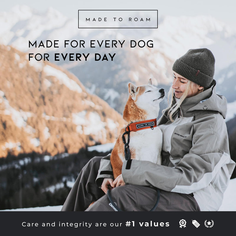 MADE TO ROAM Premium Everyday Dog Collar - Martingale Style No Pull Vegan Leather Collar, Heavy Duty and Lightweight for Small, Medium, Large Dogs (Oregon Haze, Size 1) Oregon Haze