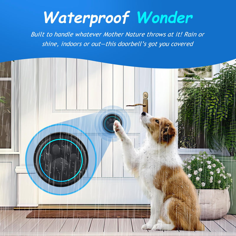 Dog Bells to Go Outside - Wireless Dog Door Bell with 1000ft Range, LED, Waterproof Potty Training Bell & Dog Buttons for Communication - Dog Clicker Alternative with 60 Melodies (1 Bell & 1 Receiver) 1 Bell & 1 Receiver - PawsPlanet Australia