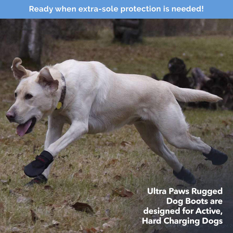 Rugged Dog Boots & Paw Protectors for Small, Medium and Large Dogs Black (Size 6) Size 6 (M) - PawsPlanet Australia