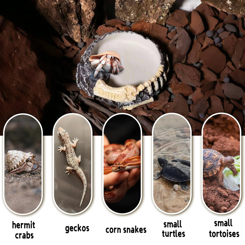 Tfwadmx Hermit Crab Water Bowl, Small Reptile Feeding Dish, Tortoise Water Dish, Hermit Crab Food Dish, Reptile Food Bowl for Geckos Corn Snakes Turtles Small Bowl-1Pcs - PawsPlanet Australia