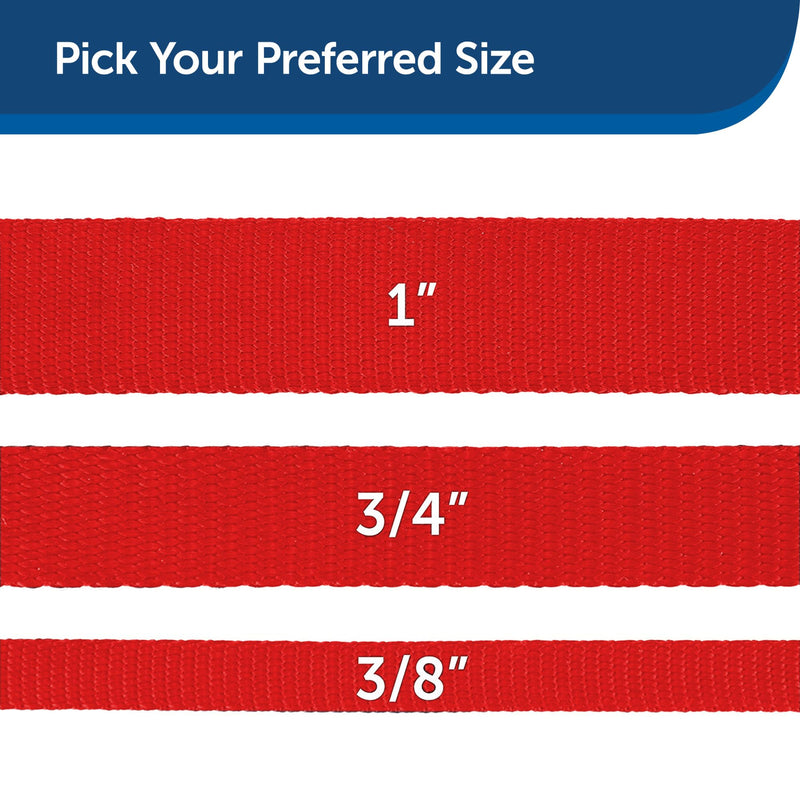 PetSafe Nylon Dog Leash – Strong, Durable, Traditional Style Leash with Easy to Use Bolt Snap for Small, Medium and Large Dogs – 3/8" x 6', Red - PawsPlanet Australia