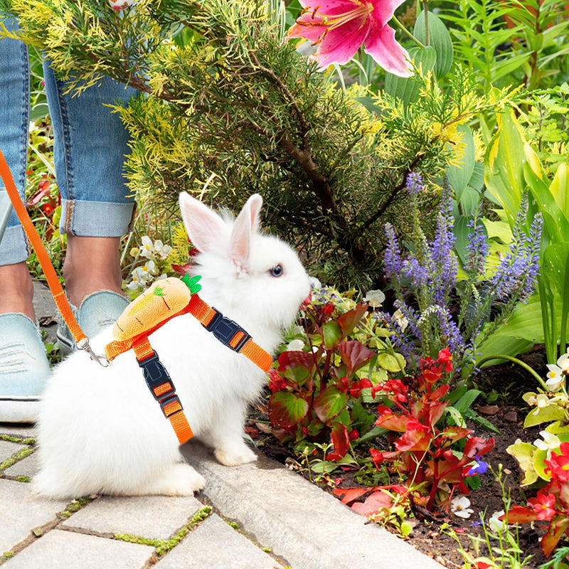 Bunny Harness and Leash for Rabbits,2 Pack Adjustable Bunny Harness,Cute Vest Harness and Leash Set, for Rabbit,Kitten, Puppy, Pig and Small Pet Animals Carrot, Strawberry Medium - PawsPlanet Australia