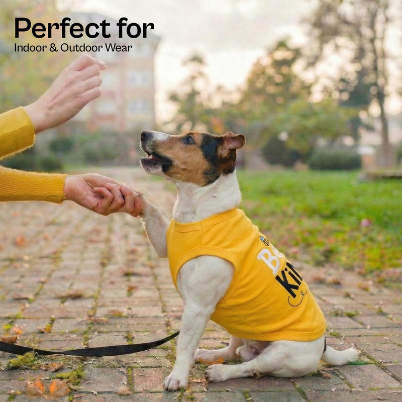 Parisian Pet Dog Shirt – 100% Cotton Shirts for Small Dogs – Sleeveless Puppy Vest – Lightweight and Breathable Pet Apparel – Soft Pullover Summer Dog Clothes - Stretchy T Shirts for Dogs Bee Kind S - PawsPlanet Australia
