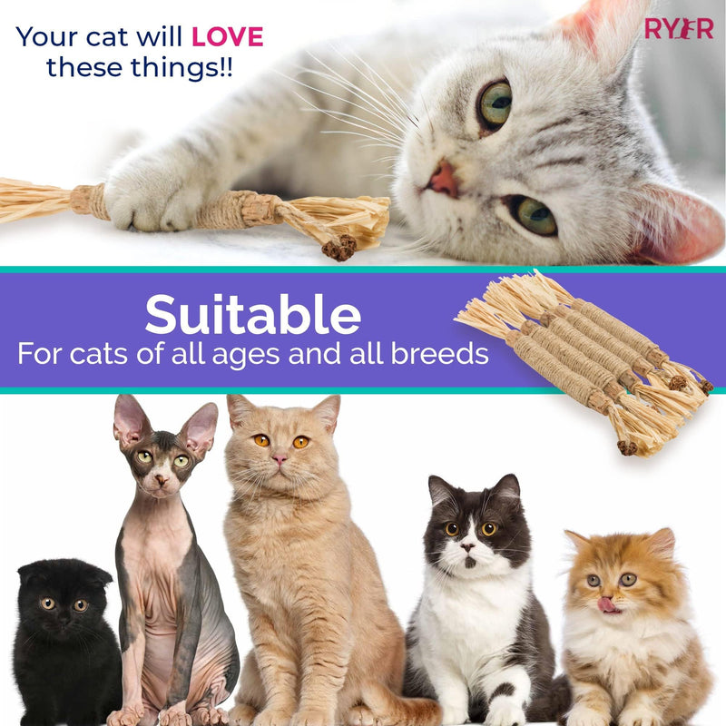 RYERCAT Silvervine Sticks for Cats【Canadian Brand】 All-Natural Cat Chew Toy for Aggressive Chewers and Kitten Teething - Pet Friendly, Smooth Finish, Irresistible Taste and Smell (5 Pack) - PawsPlanet Australia
