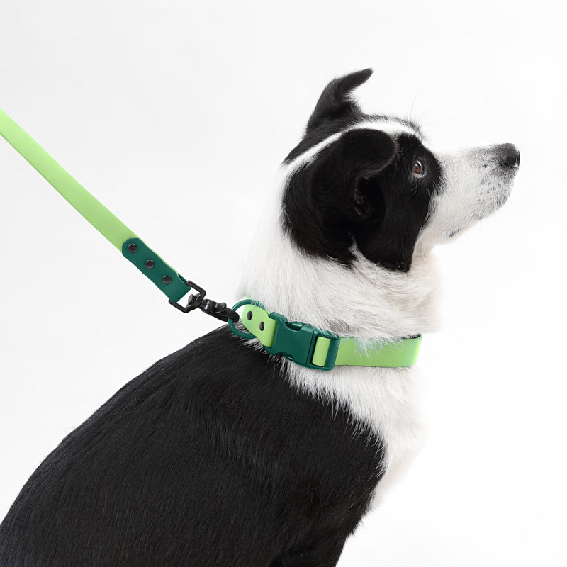 WLK1006B-5SET Luna Large 8FT Adjustable 6-in-1 Waterproof Hands-Free Leash and Collar with LED Flashlight, Bag Dispenser, and Poop Bag Holder, Mojito Light Green/Dark Green Large (Up to 80 lbs) - PawsPlanet Australia