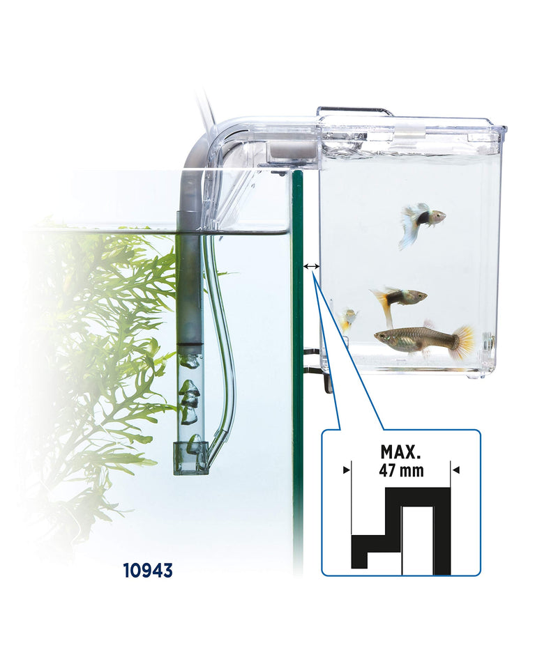 Fluval Multi-Chamber Holding and Breeding Box, Large – Up To 3 Separate Housing Compartments Standard Packaging