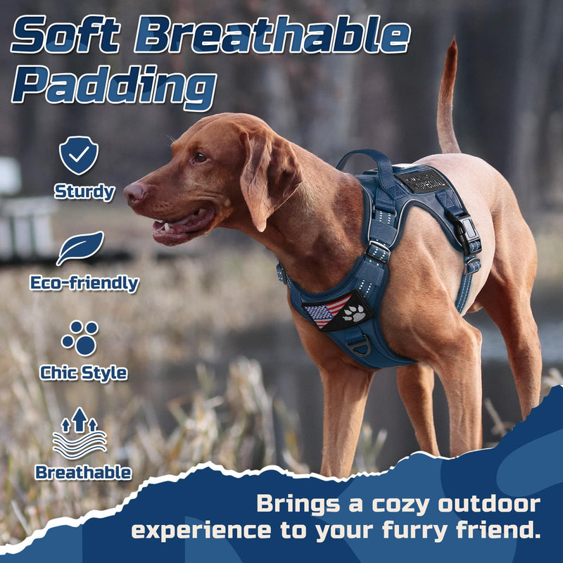 rabbitgoo Dog Harness No Pull, Military Dog Harness Medium Sized Dog with Handle & Molle, Easy Control Service Dog Vest Harness Training Walking, Adjustable Reflective Tactical Pet Harness, Blue, M - PawsPlanet Australia