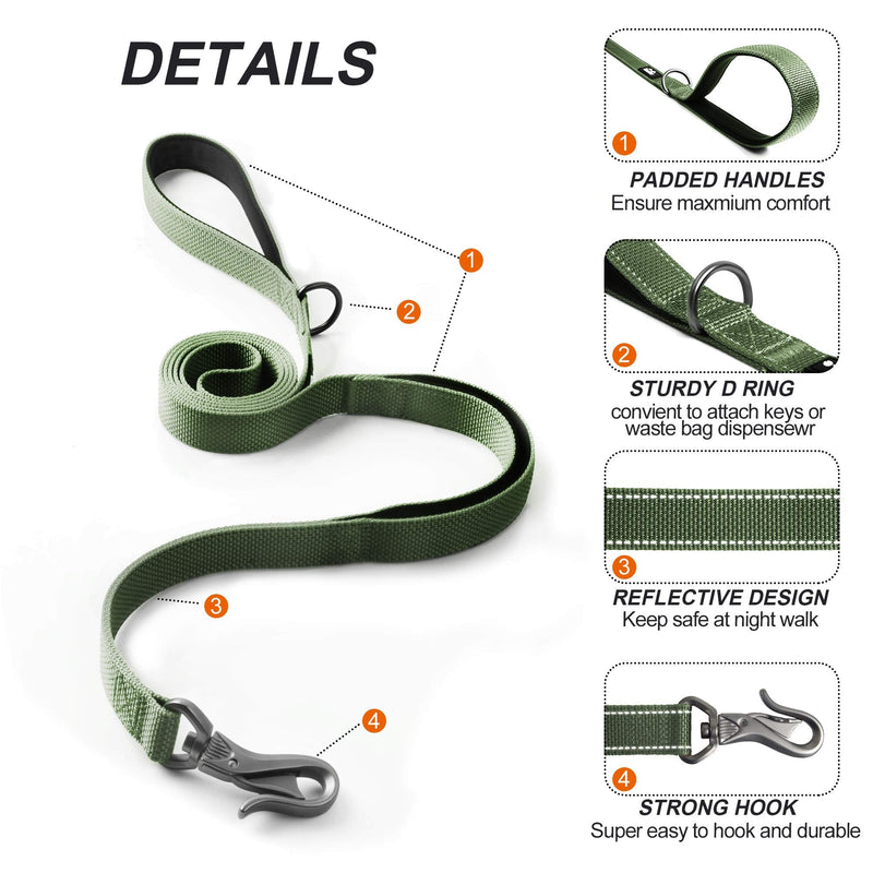 TwoEar 6FT 1IN Strong Green Dog Leash with 2 Padded Handles, Traffic Handle Extra Control, Comfortable Soft Dual Handle, Auto Lock Hook, Reflective walking Lead for Small Medium and Large Dogs 1 in x 6 ft