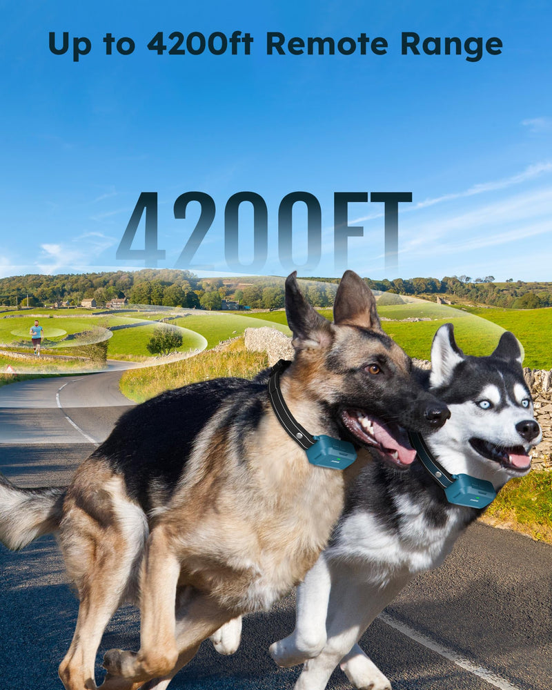 Jugbow Dog Shock Collar 2 Dogs - 4200FT Dog Training Collars with Remote, IPX8 Waterproof E-Collar for Dogs Training Rechargeable e-Collars for Large Medium Small Dogs (10-120lbs) Blue - PawsPlanet Australia