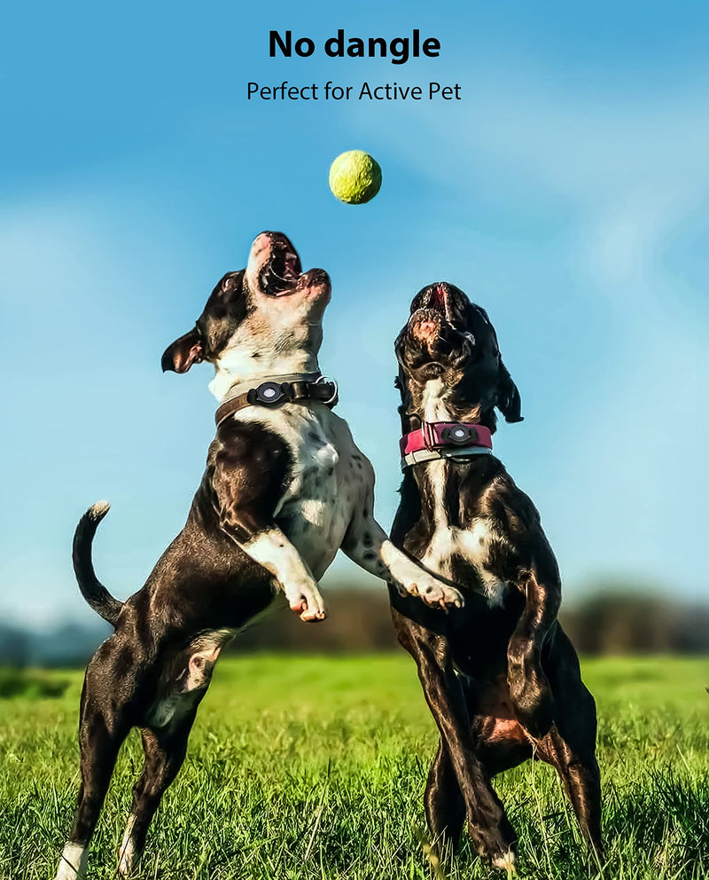 AirTag Holder Fit All Dog Collars Harness, Stouchi Innovative Style Protective AirTag Case with Pins Fixing Buckle for iPhone, AirTag Pet, Dog and Cat AirTag Mount Black-1 Pack - PawsPlanet Australia
