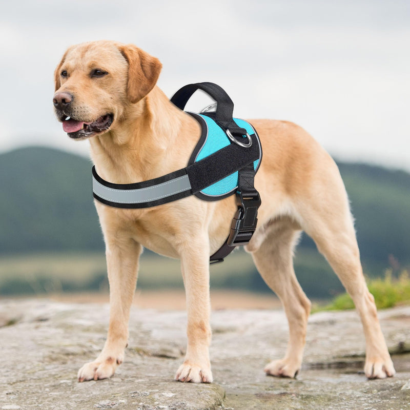 Haapaw Essential Dog Harness, No Pull Pet Vest with 3 Leash Clips, No Choke, Reflective, Adjustable and Padded, for Easy Walking and Training for Large Dogs(L, Blue) L - PawsPlanet Australia