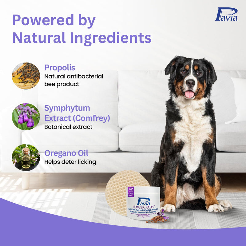 Pavia Power Pads | Natural Anti-Lick Healing Pads for Dogs and Horses | Prevents Licking and Supports Healing of Hot Spots, Sores, Wounds & Incisions | Propolis & Oregano Oil Formula | 42 Pads