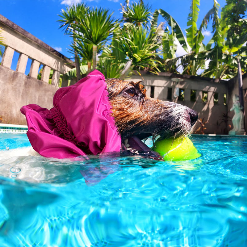 2 Pcs Waterproof Dog Shower Cap Dogs Snood 11.81" Dog Bath Cap with Adjustable Strap Dog Ear Covers for Bath Dog Rain Hat for Washing Raining Swimming Ear Prevention, Purple - PawsPlanet Australia