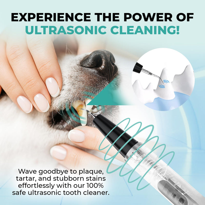 BRIGHT BITE™ | Ultrasonic Plaque Remover for Teeth | Dog Toothbrush; Cat Toothbrush | Quiet Tartar Remover | Dog Accessories | Teeth Cleaning Tools| Doggie Dental Scaler | Dental Tools | USB-C - PawsPlanet Australia
