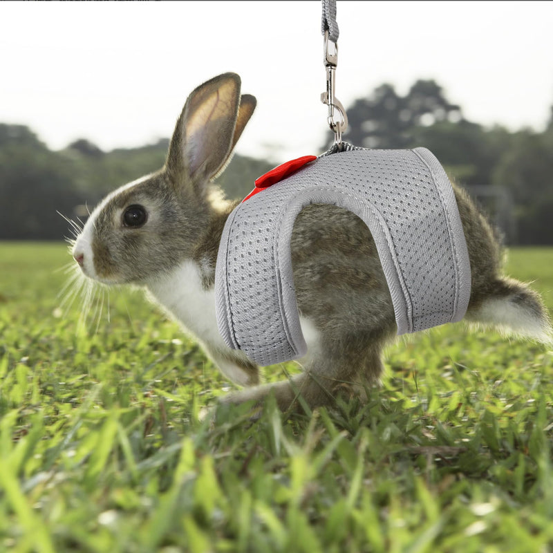 AIITLE Bunny Harness and Leash Set with Cute Bow, Soft Breathable Mesh Vest Harness for Rabbits Kitten Ferret Small Pig Puppy Walking Supplies Grey M Medium - PawsPlanet Australia