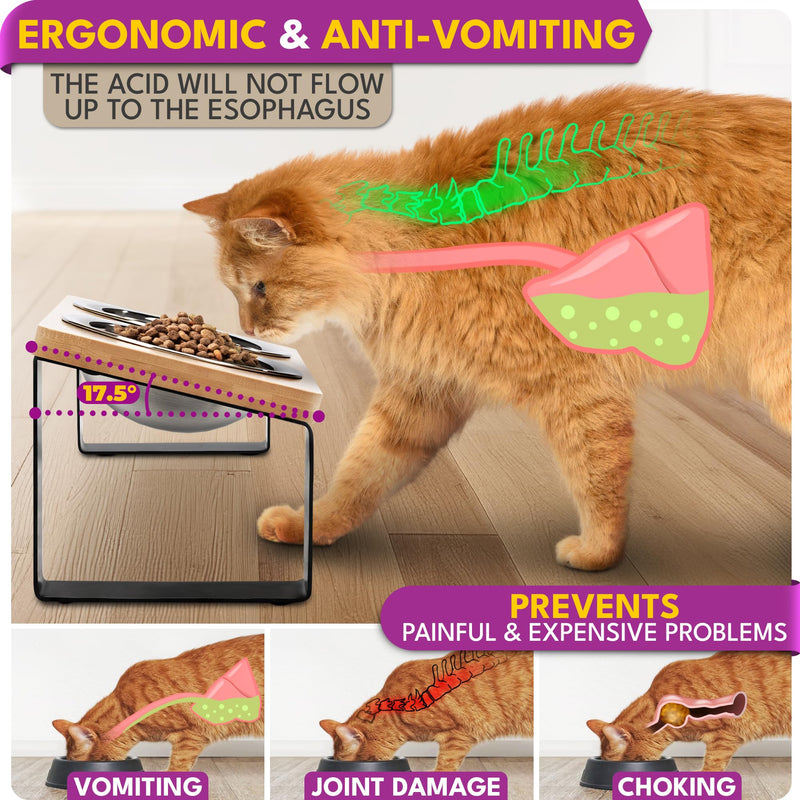 Elevated Cat Bowls, Raised Cat Bowls for Indoor Cats, Cat Bowls Elevated, Stainless Steel Cat Bowls, Cat Dishes for Food and Water, Tilted Cat Food Bowls, Cat Feeding Station, Raised Cat Food Bowls - PawsPlanet Australia