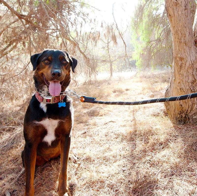 ZippyPaws - Climbers Dog Leash - Tough Climbing Rope Dog Leash - 2/3 Inch Thick 6ft Green