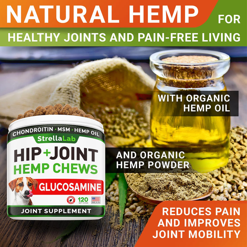 Hemp Treats - Glucosamine Dog Joint Supplement + Omega 3 - w/Hemp Oil - Chondroitin, MSM - Advanced Mobility Chews - Joint Pain Relief - Hip & Joint Care - Chicken Flavor - 120 Ct - Made in USA 120Ct (Chicken) (HIP&JOINT) Hemp Chews