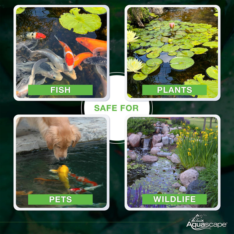 Aquascape Beneficial Bacteria Concentrate for Pond and Water Features, 1.1-Pound, 98949 1.1 lb - PawsPlanet Australia