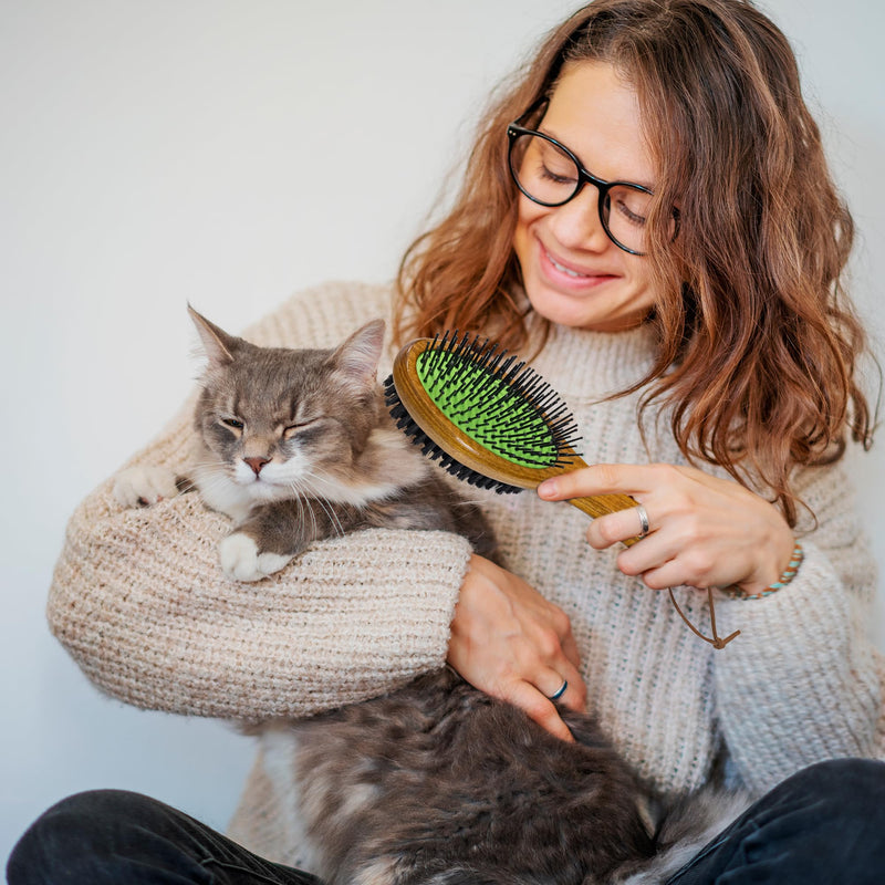 TAKAVU Dog Cat Detangling Brush, Two-Sided Pin & Boar Bristle Grooming Brush for Removing Loose Hair Dirt and Promoting Healthy Coat, De-shedding Pet Supplies Comb, Detangler Brush for Dogs, Cats Black Boar Bristle & Pin Brush - PawsPlanet Australia