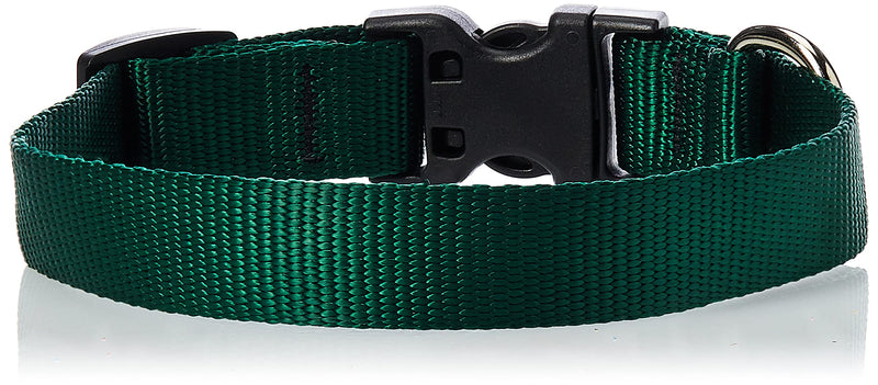 LupinePet Basics 3/4" Green 9-14" Adjustable Collar for Small Dogs 3/4"W; 9-14" Neck