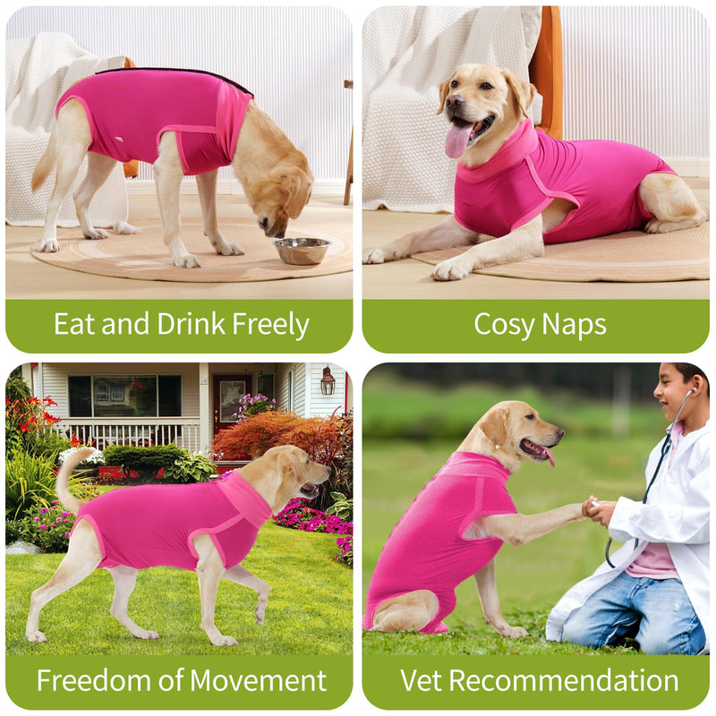 HEYWEAN Dog Recovery Suit - Female Spay Post Op Suit for Dogs After Surgery M Rose