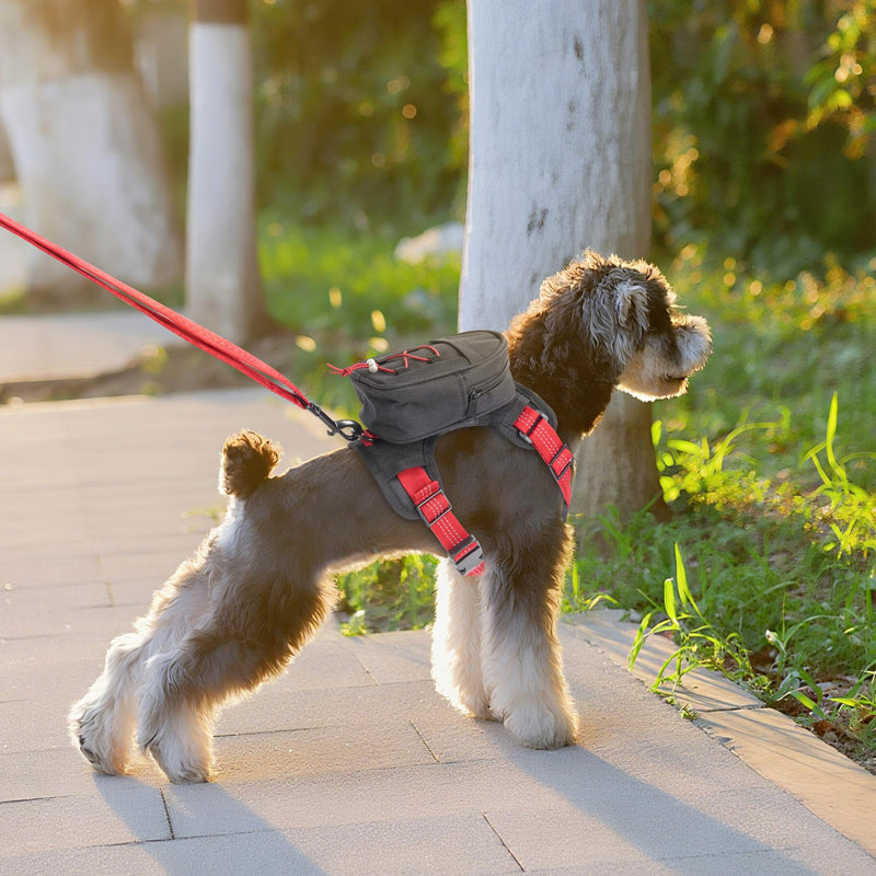 Dog Backpack Harness for Small and Medium Dogs, Adjustable Lightweight Carrier with Detachable Backpack and Leash, Water Resistant for Hiking, Training, and Daily Walks, M - PawsPlanet Australia