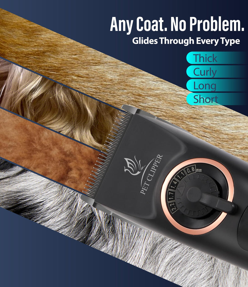Professional Dog Grooming Clippers with 12H Runtime & Replaceable 440C Blade, 3-Speed Low Noise Electric Dog Shaver for Thick, Matted, Curly Hair, Cordless Clipper for Groomer & Home Use, Black Clipper+10FC Blade - PawsPlanet Australia