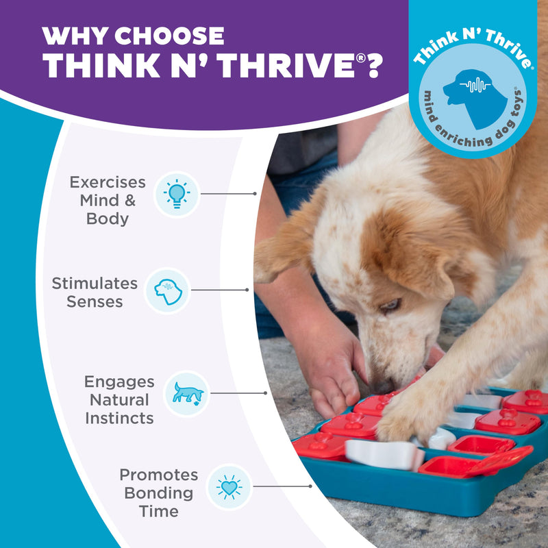 Outward Hound Nina Ottosson Dog Brick Dog Puzzle Interactive Treat Puzzle Dog Enrichment Dog Toy, Level 2 Intermediate, Blue Dog Brick (Red, White, Blue) - PawsPlanet Australia